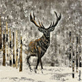 Deer 20 x 20 in