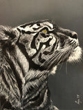 Gaze of the Wild W 24” x H 36”