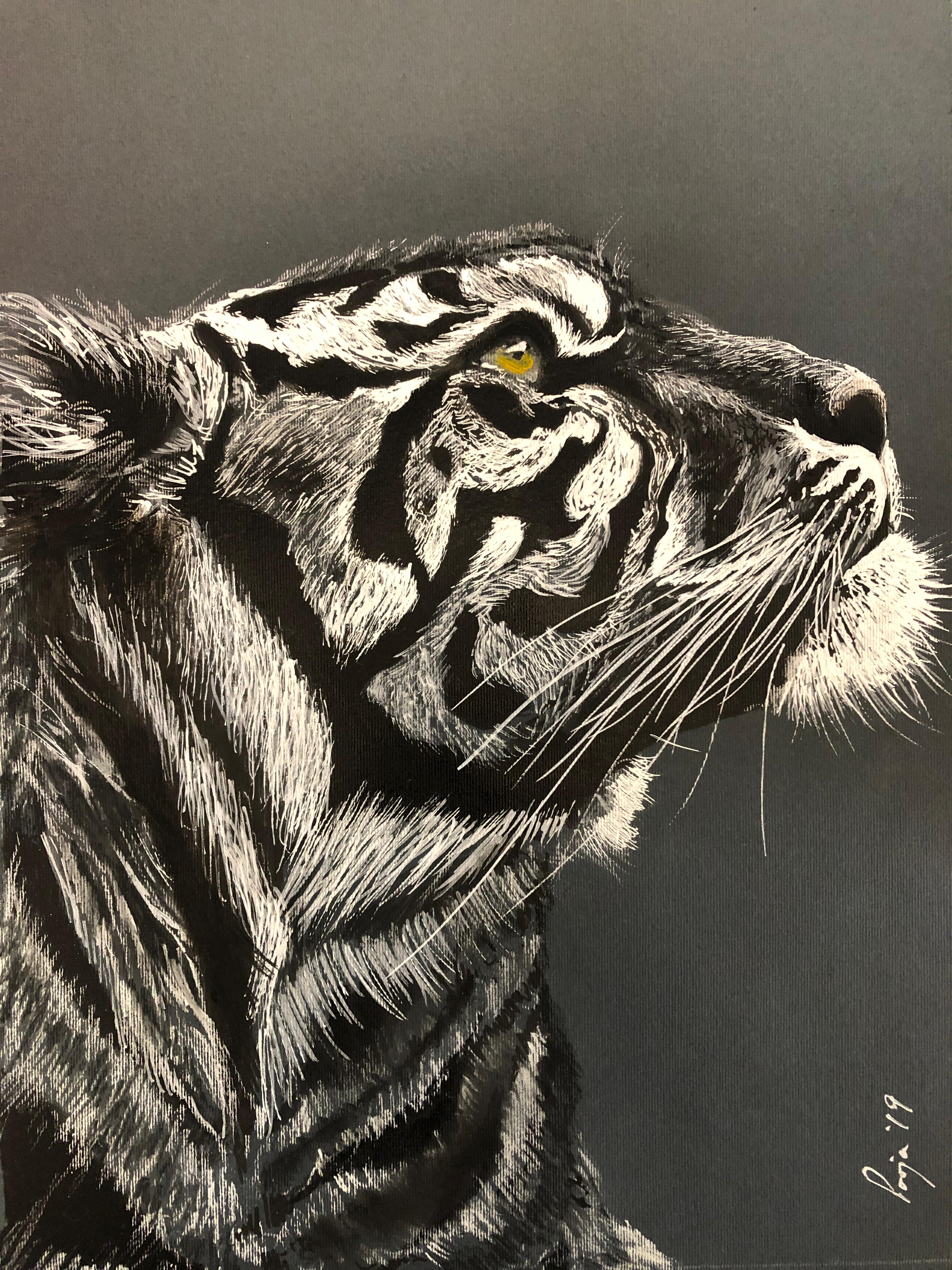 Gaze of the Wild W 24” x H 36”