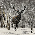 Snowbound Deer 20 x 20 in