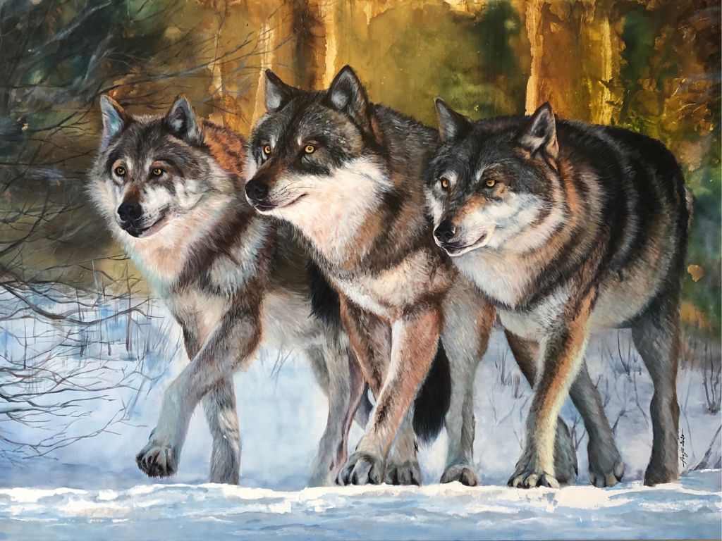 The Pack 48 x 72 in