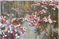 Bougainvillea Reflections