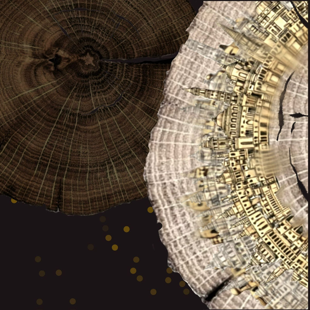 A Journey Through Rings