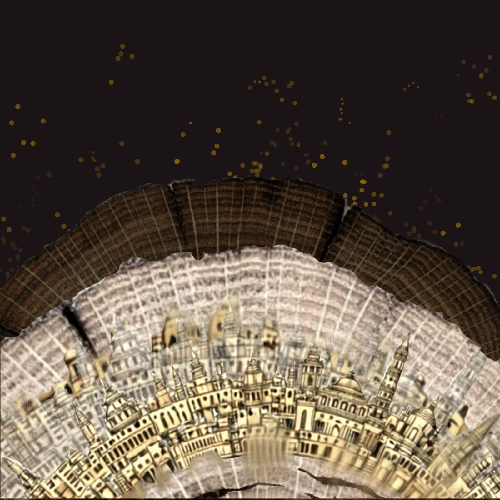 A Journey Through Rings