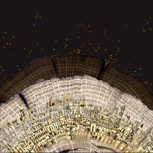 A Journey Through Rings