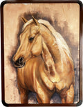 The Stallion
