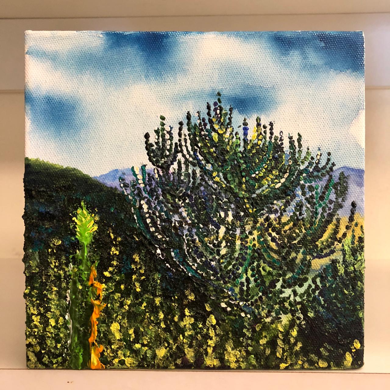 Nature 3